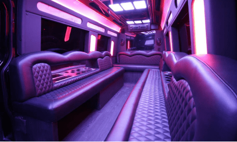 Grand Prairie 14 Passenger Sprinter Bus Interior