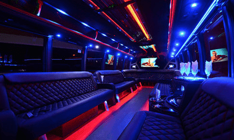 Flower Mound 30 Passenger Party Bus Black Interior